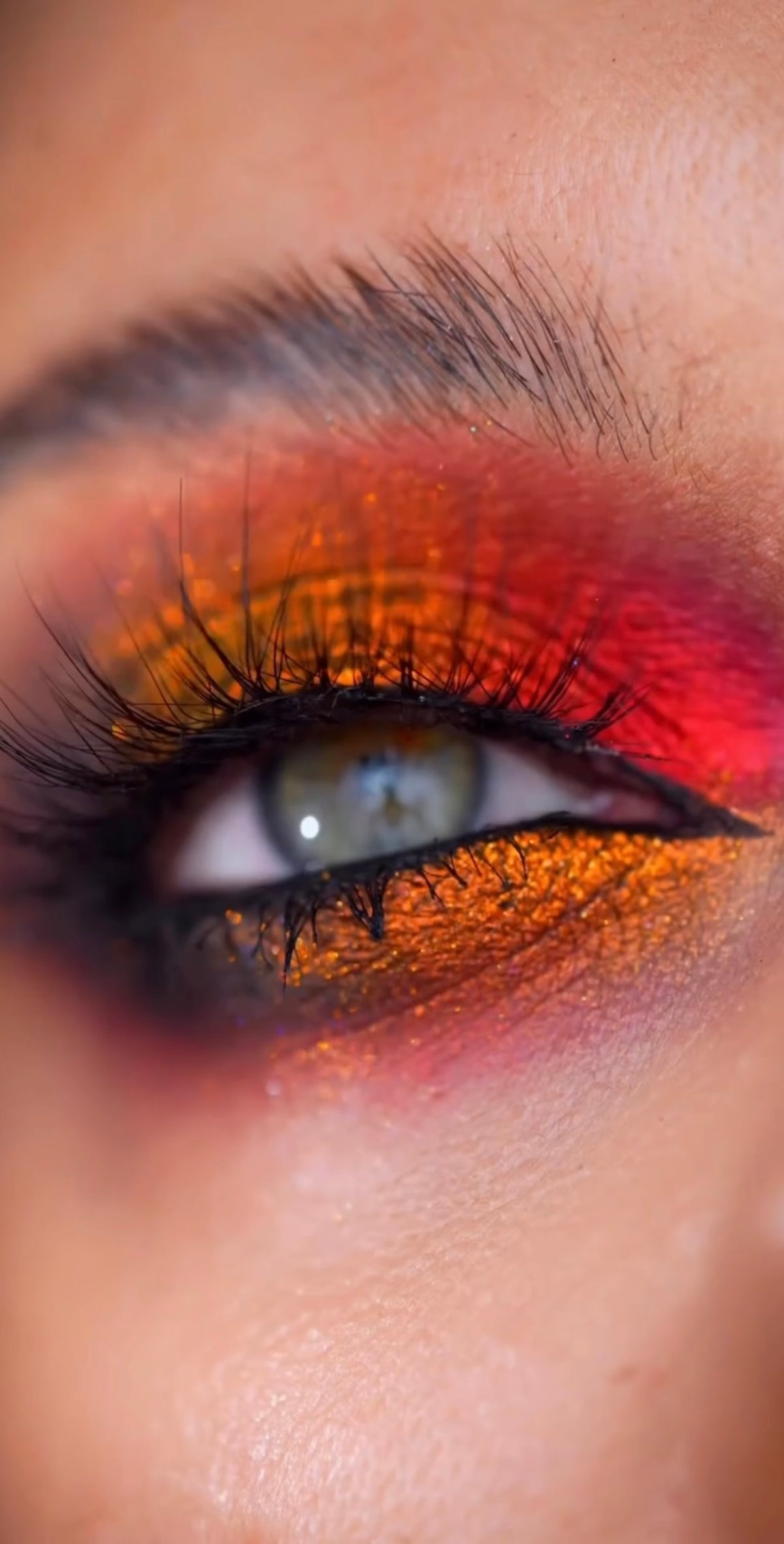 Shellwe Makeup Circus Eyeshadow Palette