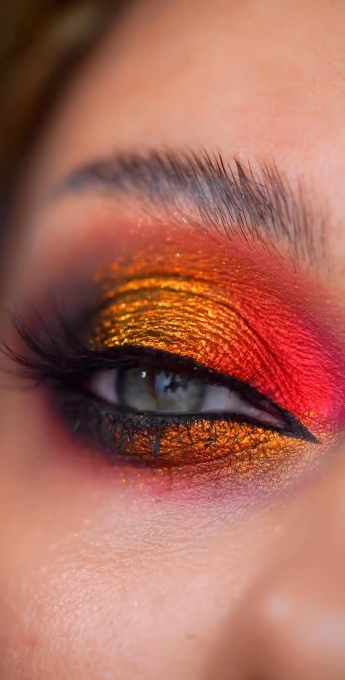 Shellwe Makeup Circus Eyeshadow Palette